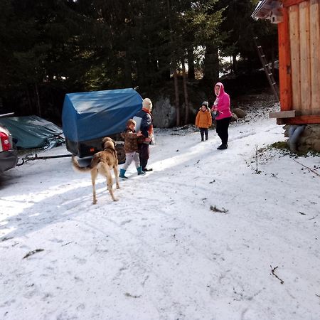 Isov Ranch Βίλα Πλαβ Εξωτερικό φωτογραφία