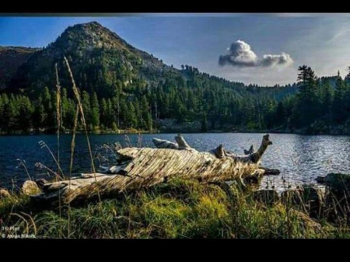 Isov Ranch Βίλα Πλαβ Εξωτερικό φωτογραφία
